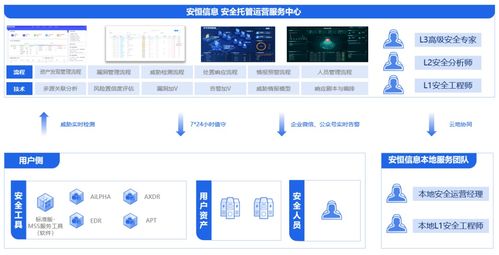 安恒信息领跑中国公有云托管安全服务市场，深化信息系统集成服务优势